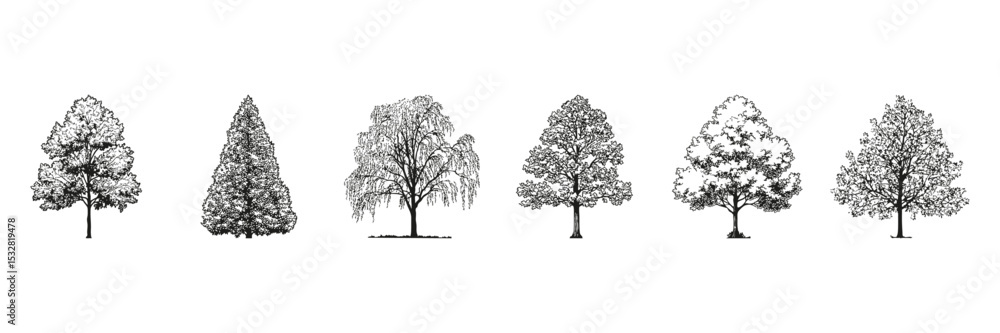 Poster tree silhouette side view set. landscape architecture and green space planning collection. isolated 