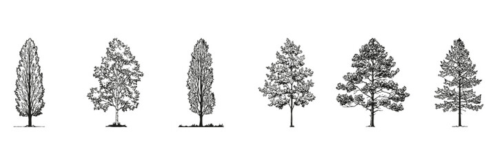 Monochrome Tree Sketch Side View Set. Landscape Architecture And Design Element Collection. Nature-Inspired Planning. Isolated Vector Illustration