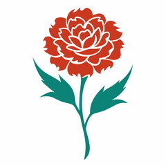 vector illustration of a carnation flower