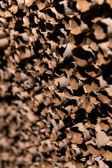board composed of dried leaves in the art museum