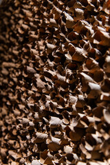 board composed of dried leaves in the art museum