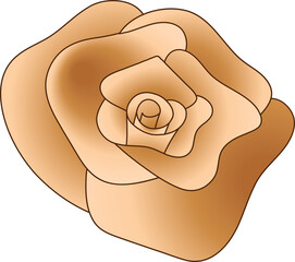Stylized rose flower is appearing on transparent background, showcasing layered golden brown petals