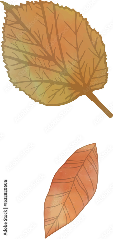 Poster two detailed autumn leaves are floating in flat vector design on transparent background