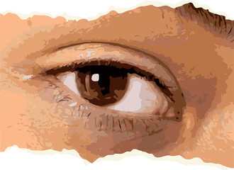 Showing stylized close-up eye and eyelid in flat vector with color blocks, transparent background