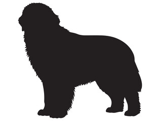 FOUNDLAND DOG SILHOUETTE