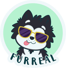 Fototapeta premium Flat husky yellow shades showing tongue on mint circle stylized FURREAL text on clear background