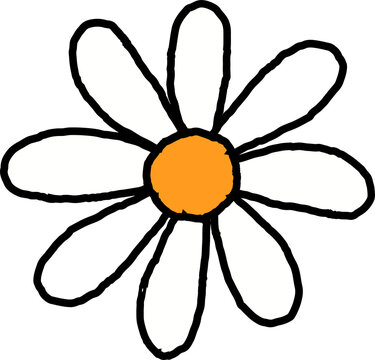 Fototapeta Hand-drawn daisy-like flower with white petals and yellow core is floating on transparent backdrop