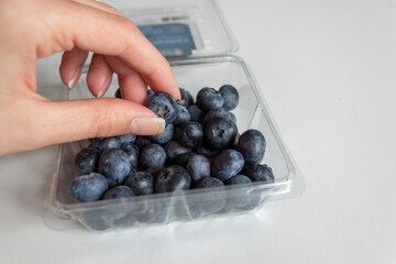 Hand holding blueberry bought from the market.
