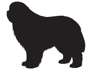 FOUNDLAND DOG SILHOUETTE