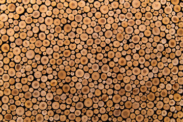 board composed of tree-branches in the art museum