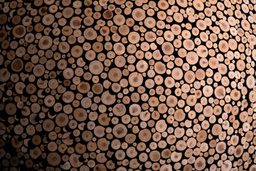 decoration composed of tree-branches on the wall in the art museum