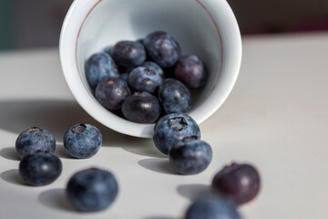Fresh Blueberries perfect for healthy snack.