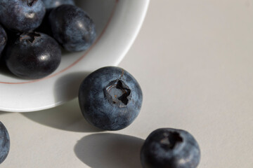 Fresh Blueberries perfect for healthy snack.