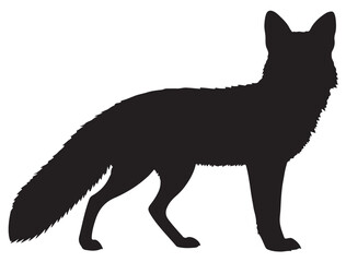 FOX SILHOUETTE 