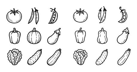 Garden Harvest Sketches