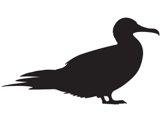  FRIGATEBIRD SILHOUETTE
