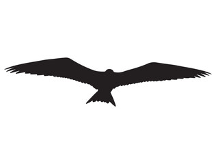  FRIGATEBIRD SILHOUETTE