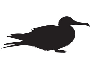  FRIGATEBIRD SILHOUETTE