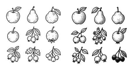 Cider Fruit Icons