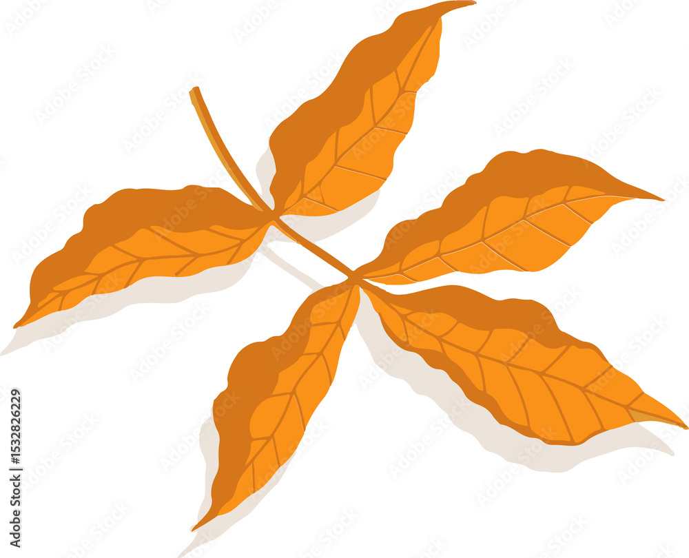 Poster stylized orange vector leaf is floating over transparent background with five veined leaflets