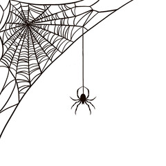 Spider is hanging from intricate radial spiral web in flat vector style, transparent background