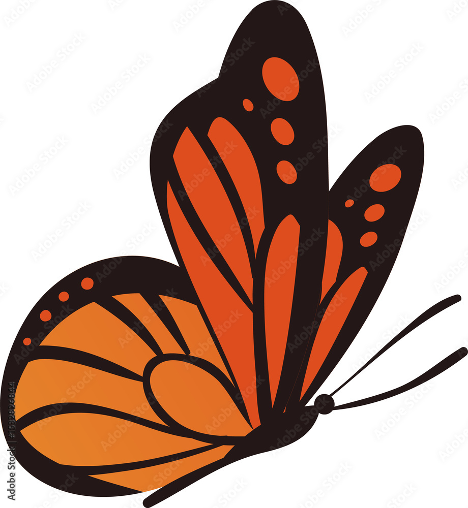 Poster displaying vector butterfly with black outlines and orange gradient wings on transparent background