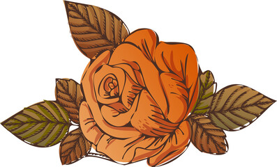 Stylized orange rose is blooming in flat design with six brown green leaves, transparent background