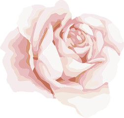 Stylized rose illustration featuring layered pale pink, cream petals showing transparent background
