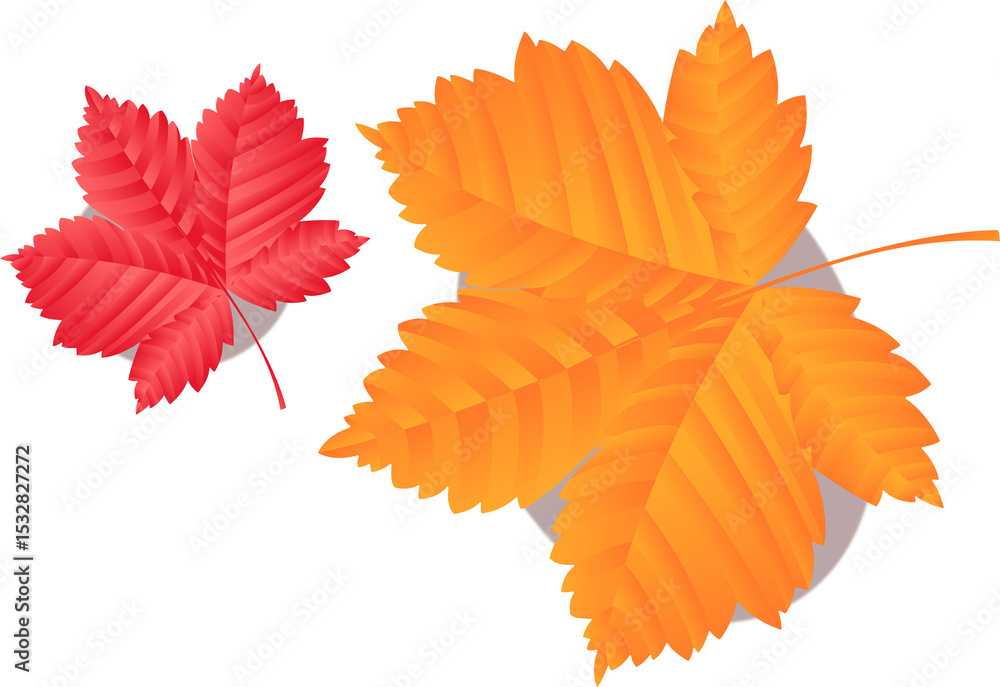 Poster two autumn leaves floating on transparent background in flat design, showing gradient shading