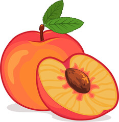 Cartoon style peaches are showing skin gradient and textured pit on transparent background