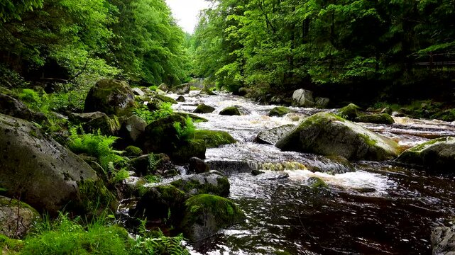 Wild mountain river. Cascading waterfall flows rapidly over mossy rocks forest landscape. natural sound