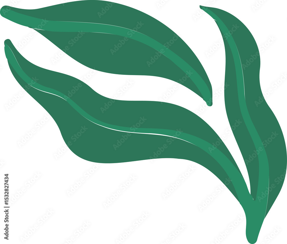 Poster showing vector featuring four overlapping green leaves with light midribs on transparent background