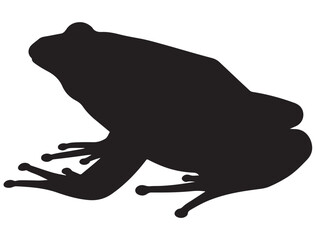 FROG SILHOUETTE