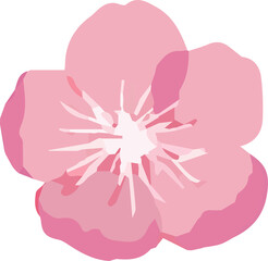Stylized pink blossom is floating on transparent background in flat design, with five petals