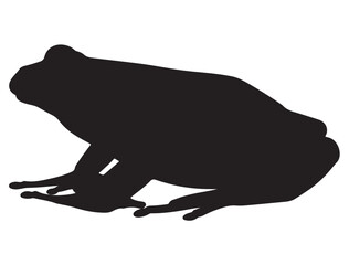 FROG SILHOUETTE
