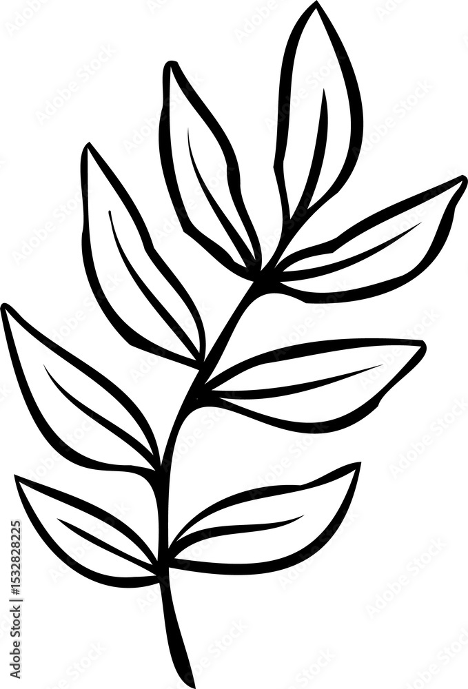 Poster branch is floating on transparent background in black line drawing with elongated leaves and veins