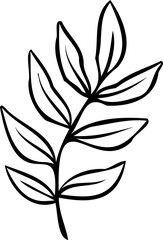 Branch is floating on transparent background in black line drawing with elongated leaves and veins
