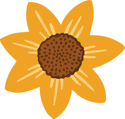 Sunflower is radiating eight golden petals around speckled center in vector transparent backdrop