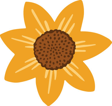 Fototapeta Sunflower is radiating eight golden petals around speckled center in vector transparent backdrop