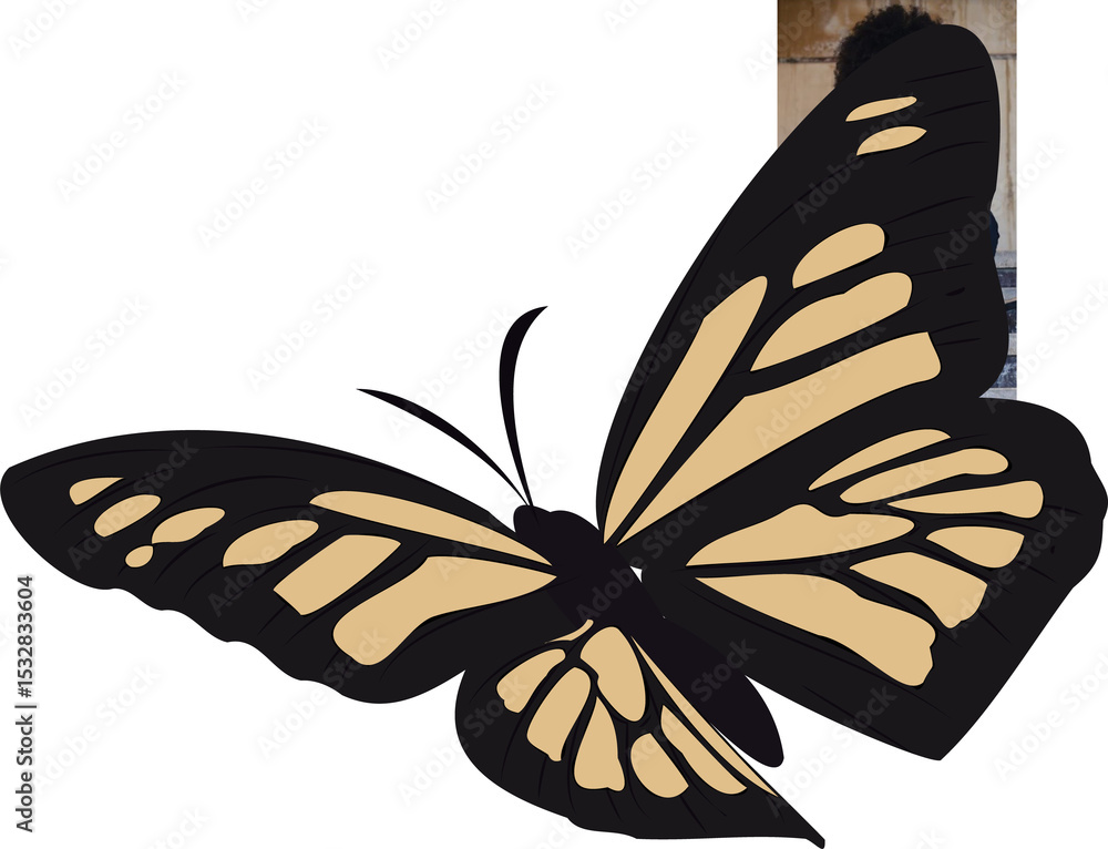 Poster flat butterfly is floating on transparent background with black veins and pale yellow pattern