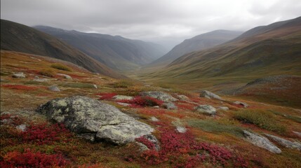 Remote tundra valley in autumn featuring vibrant colorful moss and dramatic sky provides a serene, high-fidelity scenic view of the landscape.