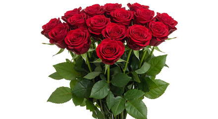 Red rose bouquet green stems white background classic roses arranged elegant bunch