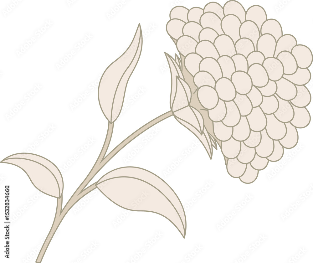 Poster showing stylized cream line-art branch arching with 4 leaves and clustered petals on transparent bg