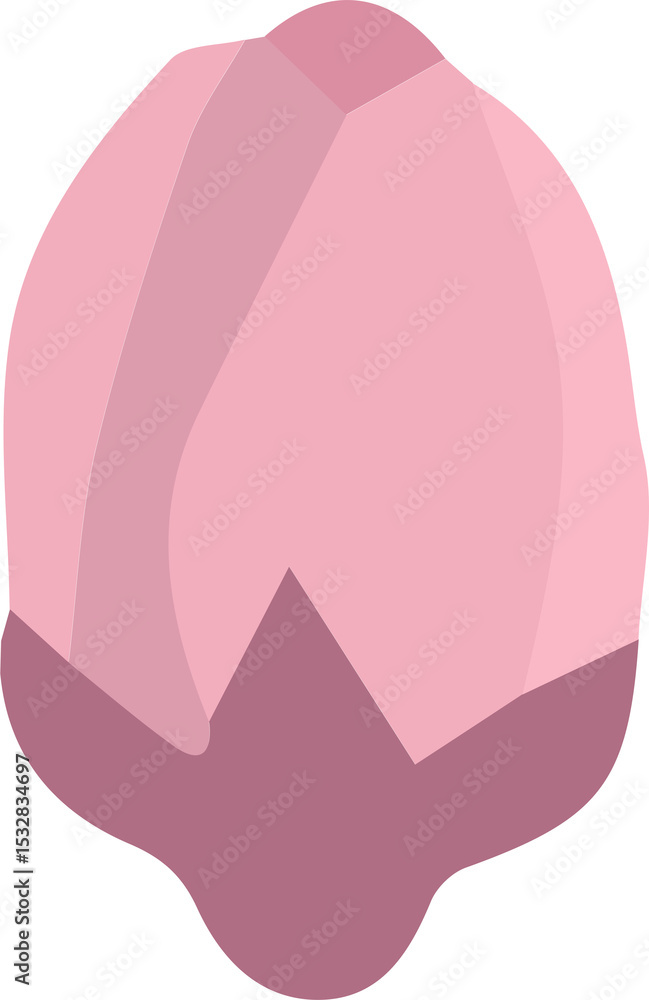 Poster flat design rendering is showing closed flower bud with pink gradients, transparent background
