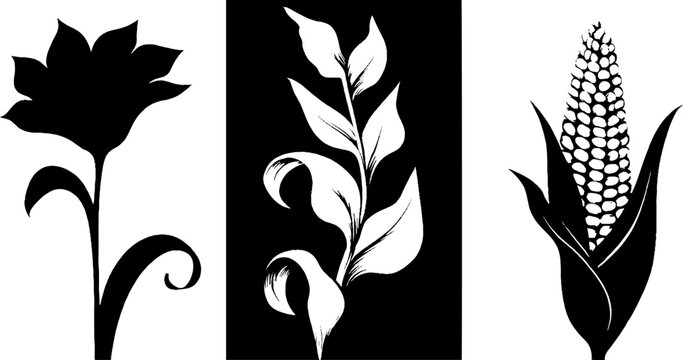 Artistic botanical silhouettes featuring corn stalk and leaf swirl design for nature themes