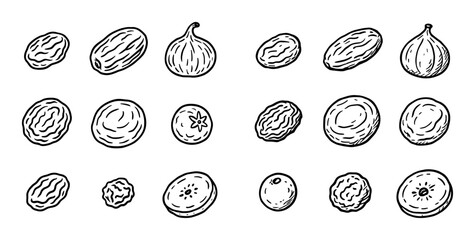Dried Fruit Icons