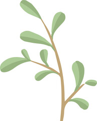 Leafy branch is curving in flat design, showing light green leaves on transparent background