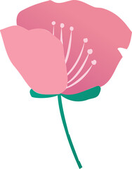 Stylized pink flower is floating on transparent background, showing petals, filaments and stem