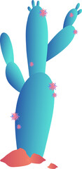 Flat-design cactus is blooming with pink star flowers and desert mounds on transparent background