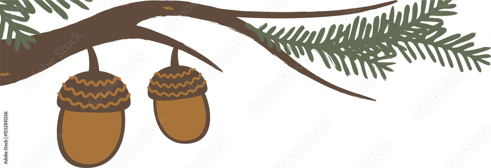 Poster two acorns are hanging from pine branch in flat vector style on transparent background